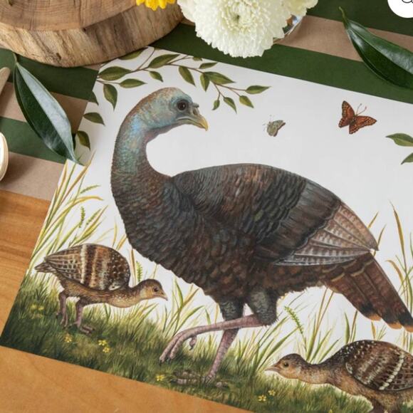 Hester & Cook Heritage Hen Pad of 24 Paper Placemats NWT - Picture 2 of 7